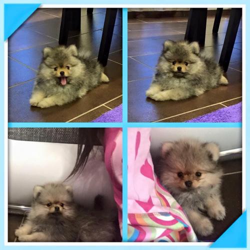 11148738 889665217749904 8126319320258990181 n