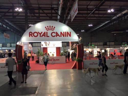 11214301 861264400589986 6600896665672567220 n