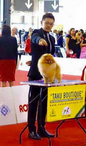 11428063 861262470590179 7349667547561705920 n