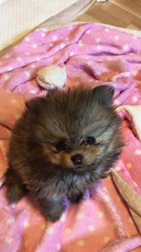 11800502 879457265437366 2272149076524282923 n