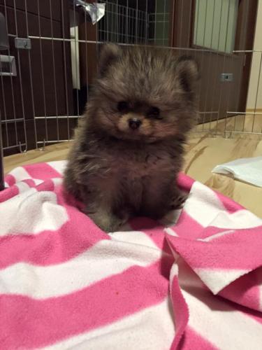 11825580 879457268770699 8723855197743964320 n