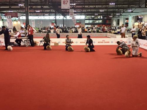 14428 861266370589789 8881580310210040425 n