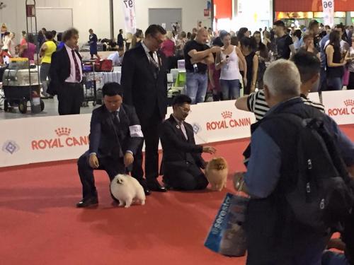 1484126 861266320589794 4797888325919897468 n