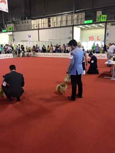 18004 861264630589963 7534929346622567099 n