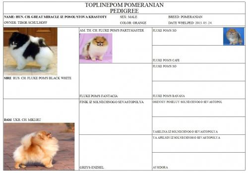 NICE-FÉNYKÉPES-PEDIGREE (1)