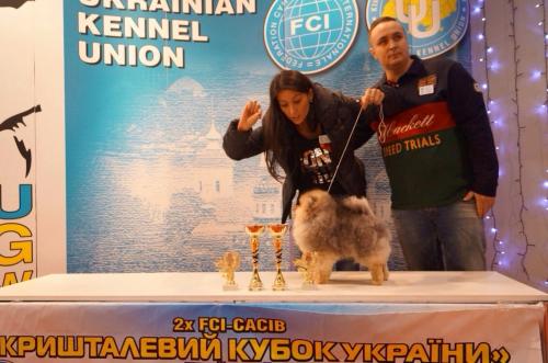 nice-64 (1)